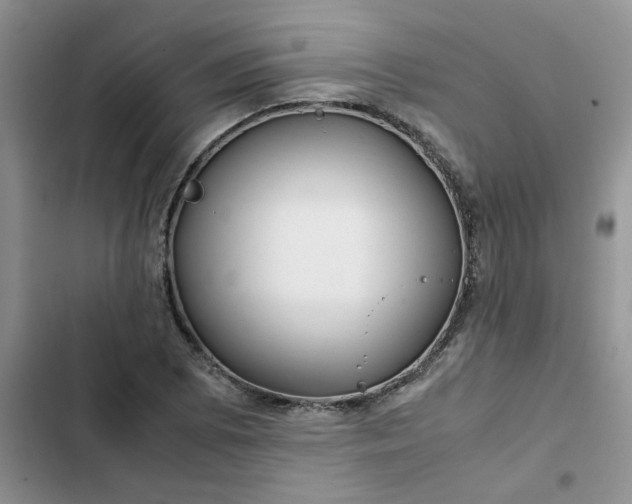 X0000102511073200808221812