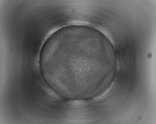 X0000102511074200808221812
