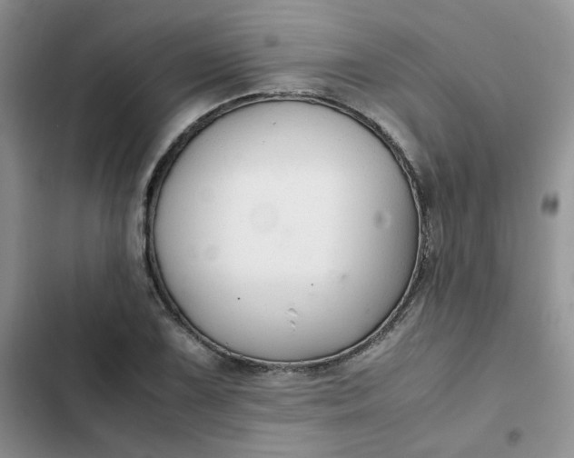 X0000102511075200808221812