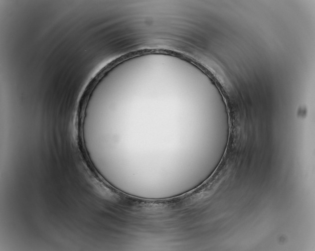 X0000102511076200808221812