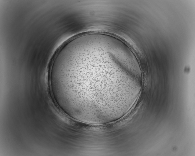 X0000102511078200808221812