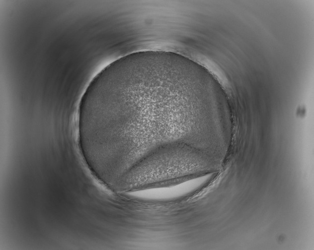 X0000102511079200808221812
