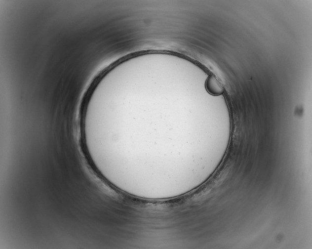 X0000102511080200808221812