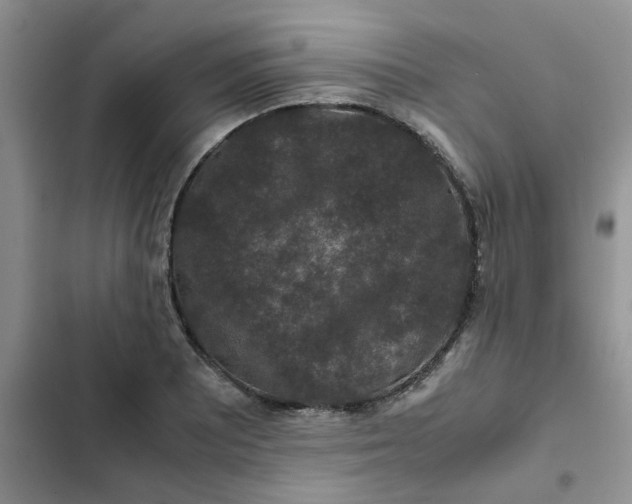 X0000102511081200808221812