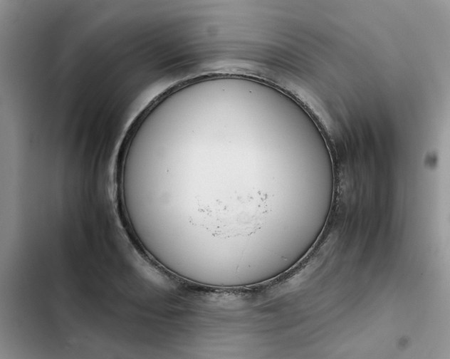 X0000102511082200808221812