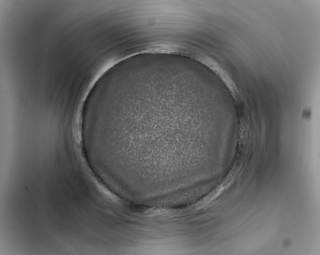 X0000102511083200808221812