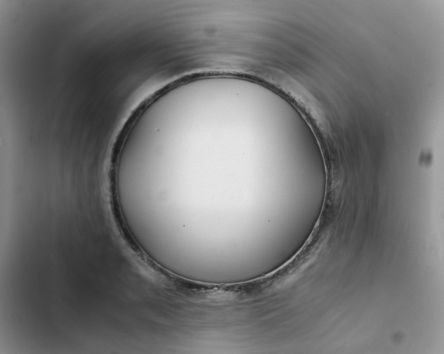 X0000102511085200808221812