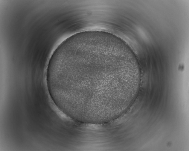 X0000102511086200808221812
