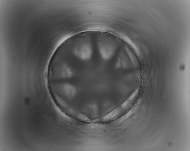 X0000102511087200808221812