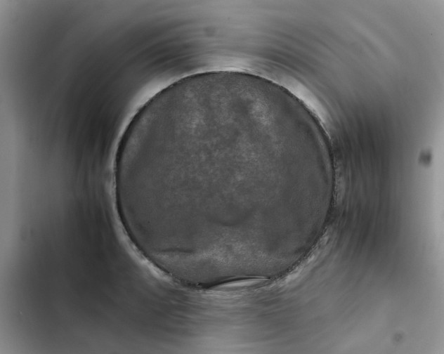 X0000102511088200808221812