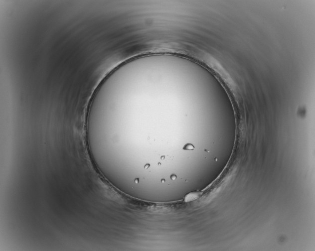 X0000102511089200808221812