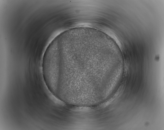 X0000102511090200808221812