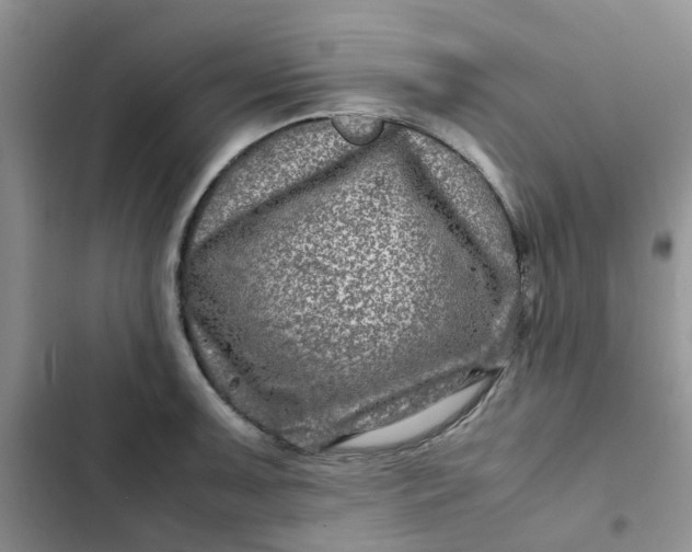 X0000102511091200808221812