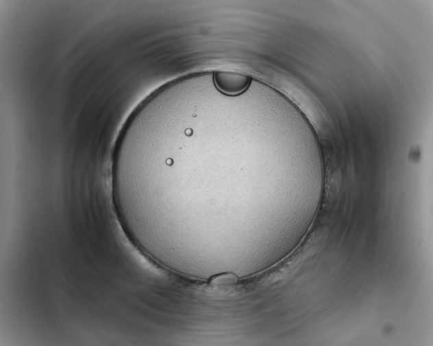 X0000102511092200808221812