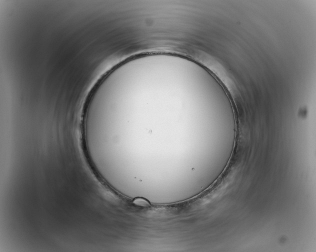 X0000102511093200808221812