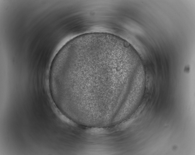 X0000102511094200808221812
