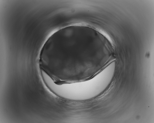 X0000102511095200808221812