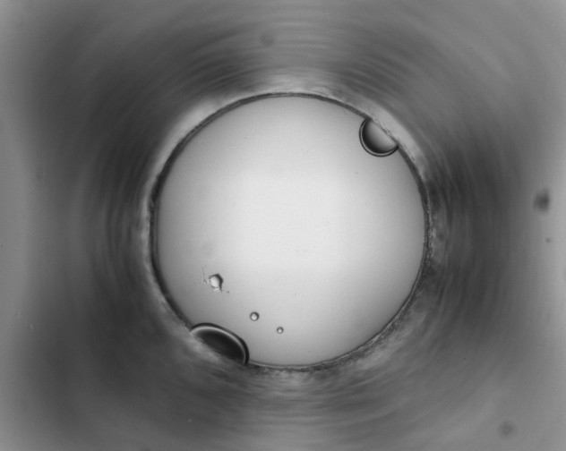 X0000102511096200808221812