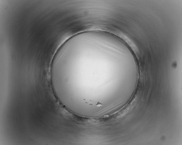 X0000102511097200808221812