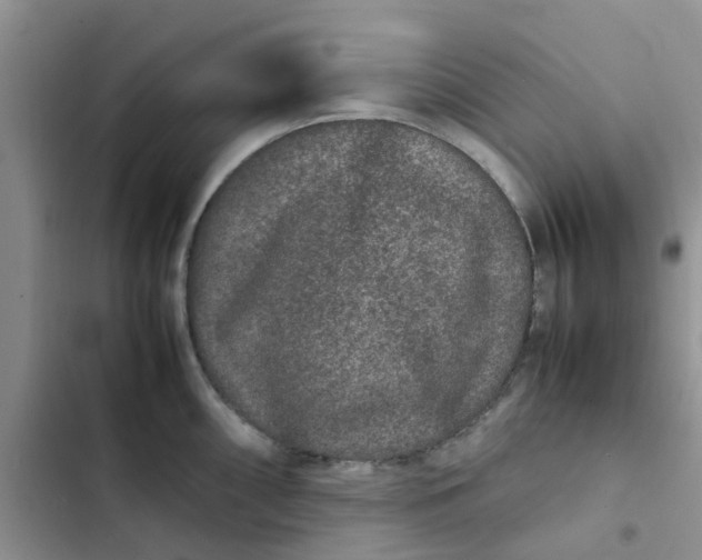 X0000102511098200808221812