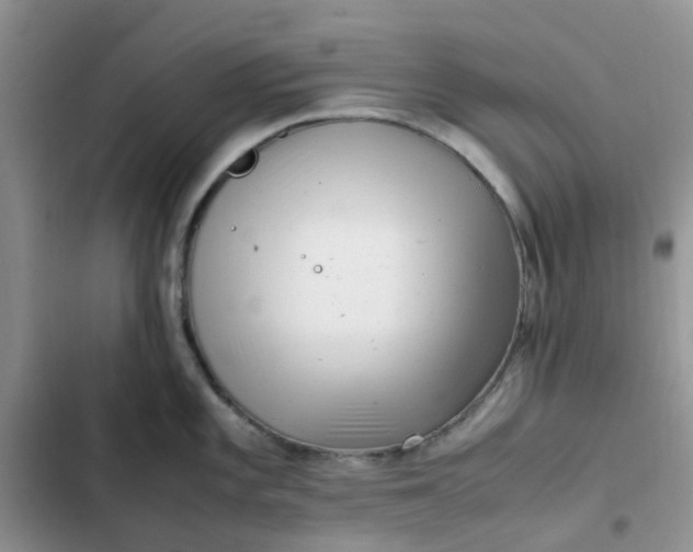 X0000102511101200808221812