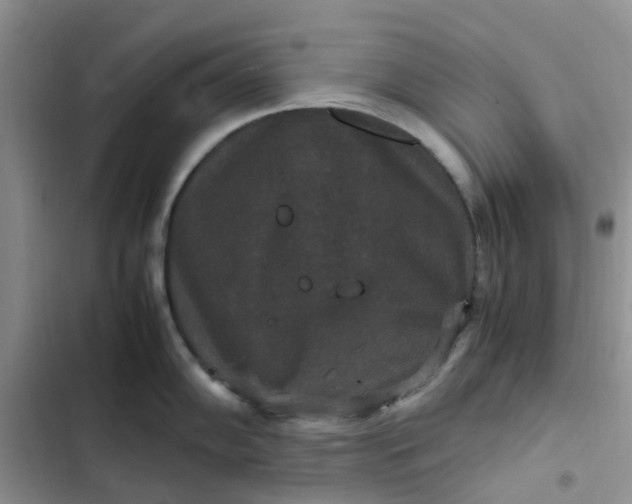 X0000102511102200808221812
