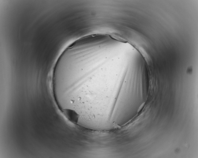 X0000102511103200808221812