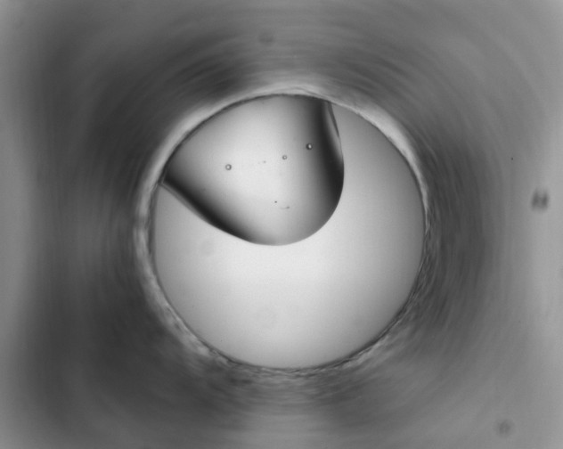 X0000102511104200808221812