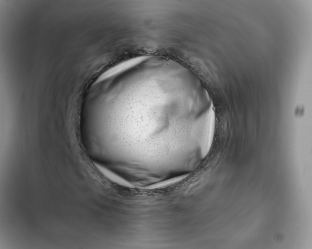 X0000102511105200808221811