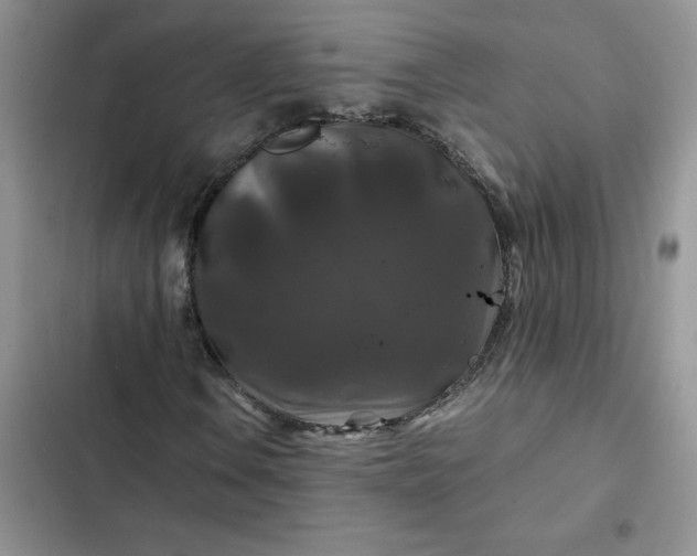 X0000102511106200808221811