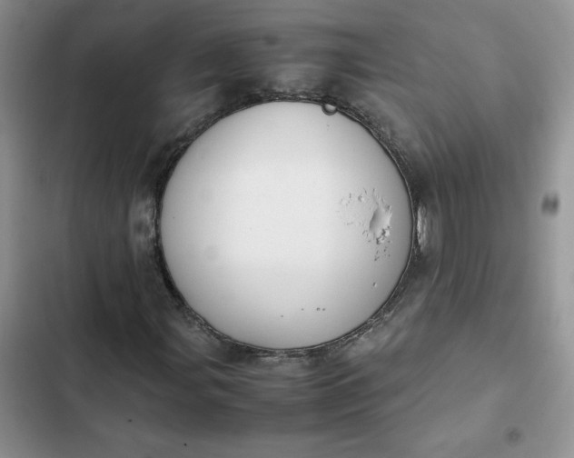 X0000102511107200808221811