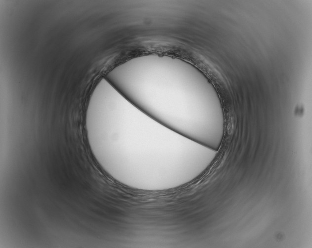 X0000102511108200808221811