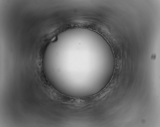 X0000102511109200808221811