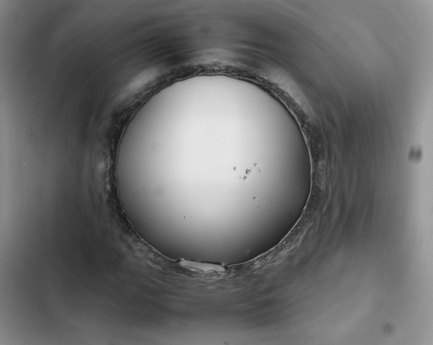 X0000102511111200808221811