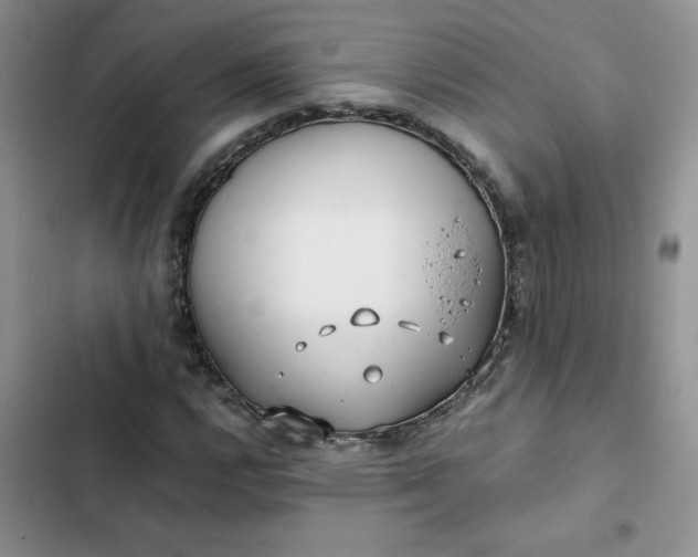 X0000102511112200808221811
