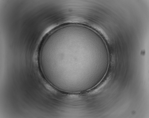 X0000102511114200808221811