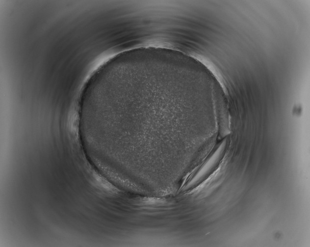 X0000102511115200808221811