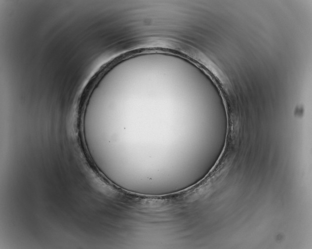 X0000102511116200808221811