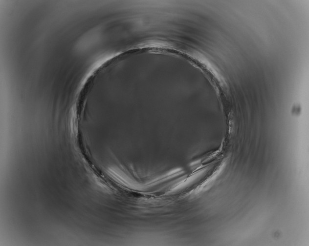 X0000102511117200808221811