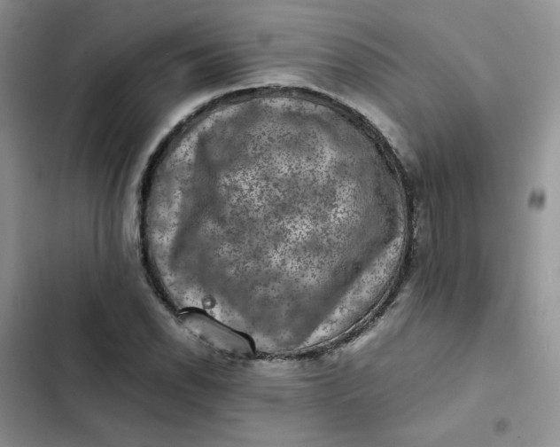 X0000102511118200808221811