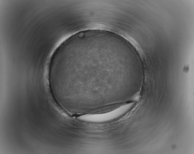 X0000102511120200808221811