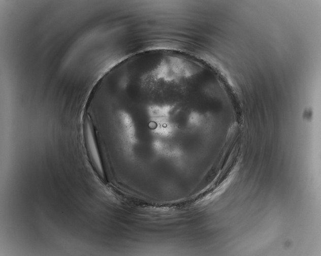 X0000102511121200808221811