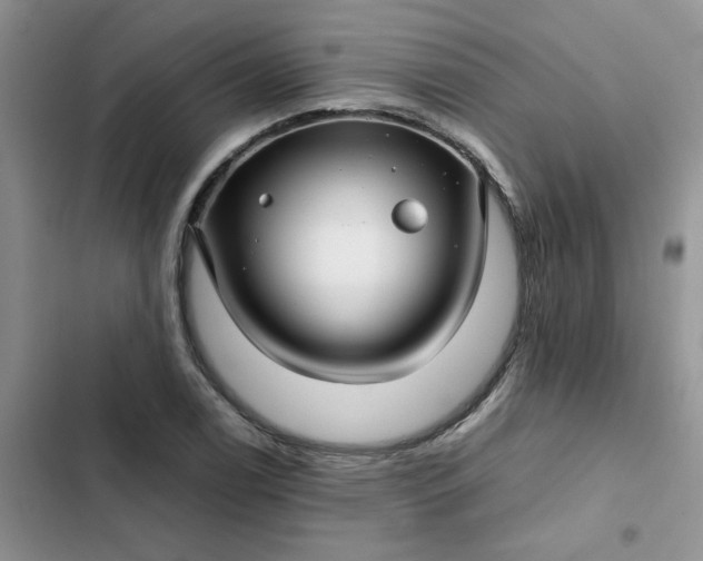 X0000102511122200808221811