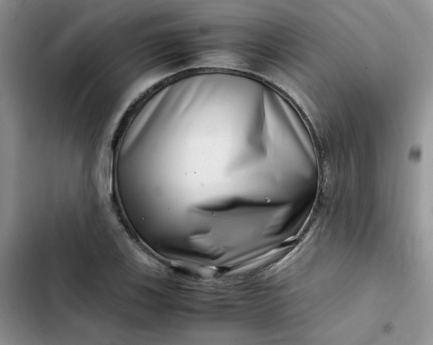 X0000102511123200808221811