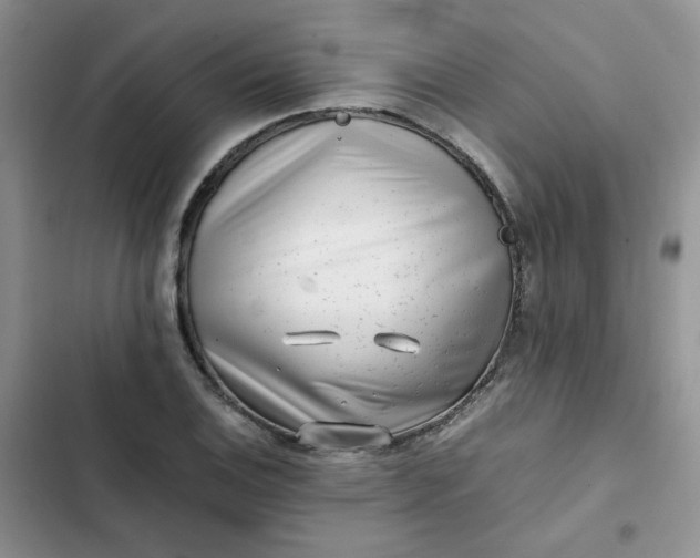 X0000102511124200808221811
