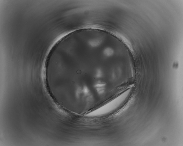 X0000102511125200808221811