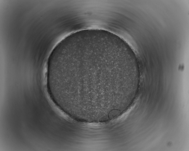 X0000102511126200808221811