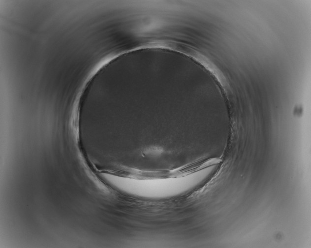 X0000102511127200808221811