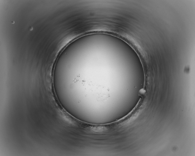 X0000102511129200808221811