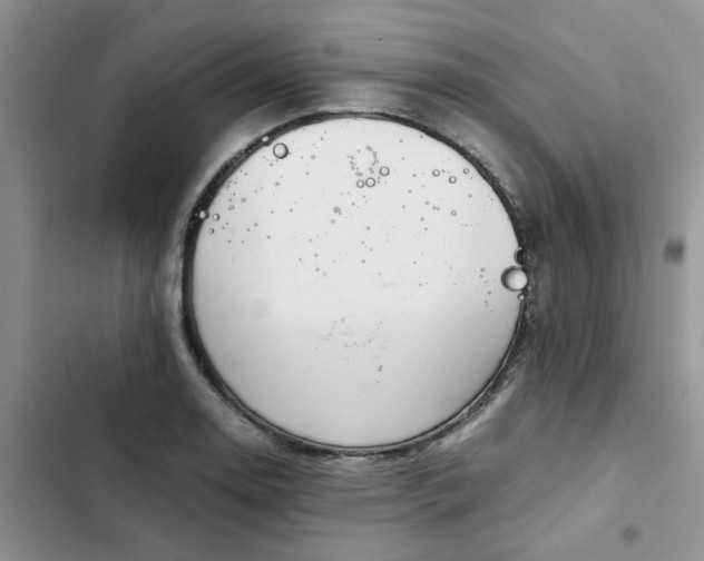 X0000102511130200808221811